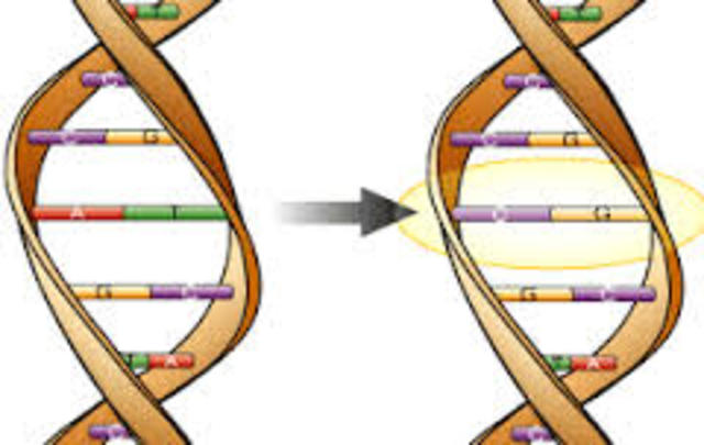 Correns, Tchermak, De Vries