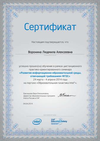 Сертификат практико-ориетированного семинара "Развитие информационно- образовательной среды"