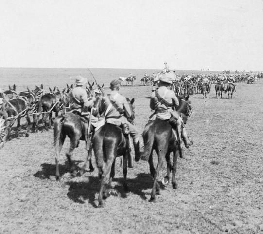 The Boer War
