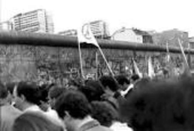 Berlin Wall Collapses
