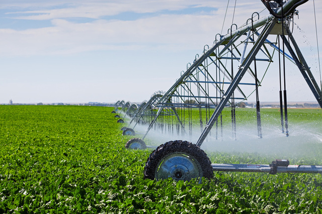 Irrigation