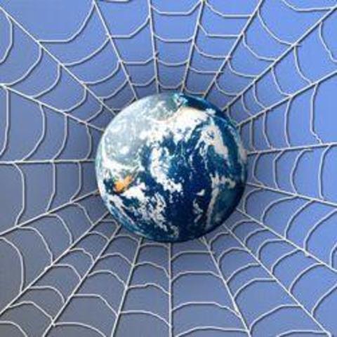 Всемирная паутина стала основным поставщиком информации в Интернете