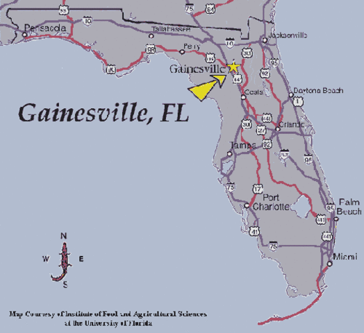 Went To Flordia For The Summer