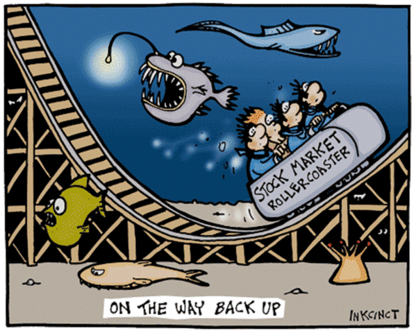 The Market Fluctuates