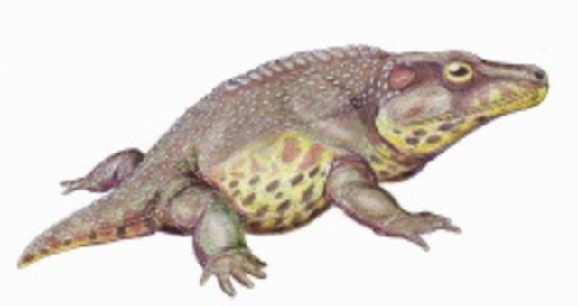 First Reptiles- 322 MYA