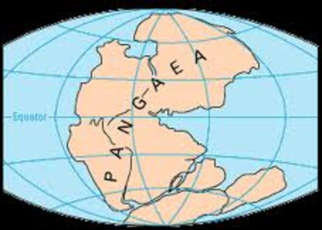 Pangaea Forms- 250 MYA