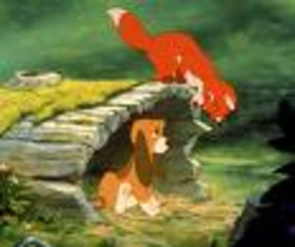 The Fox and the Hound