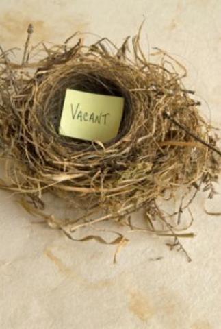 Empty nest
