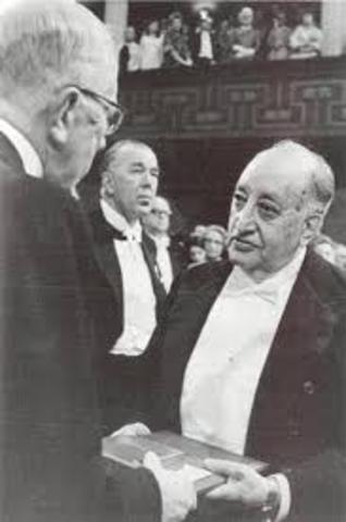 Premio novel de literatura