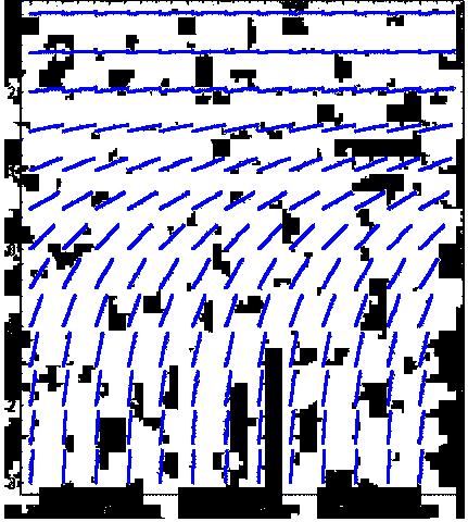 Differential Equations, Slope Fields, and Euler's Method