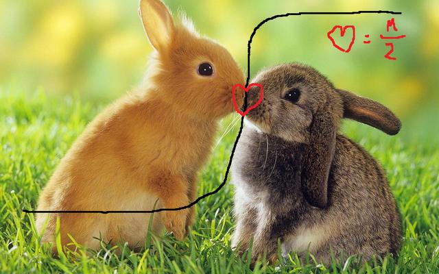 Differential Equations