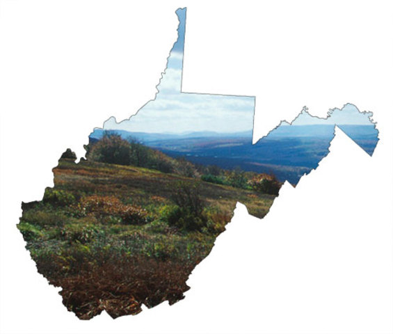 First Constitutional Convention