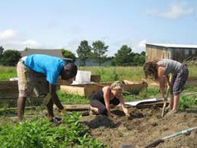 Rectification Program