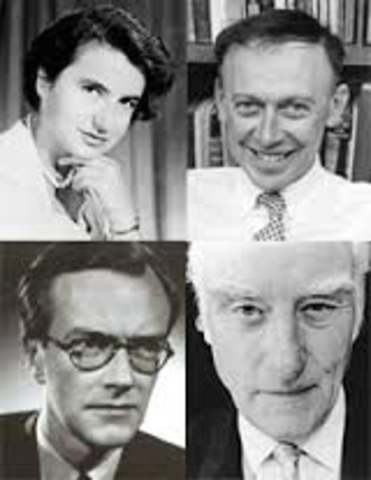 Molecular Structure of DNA