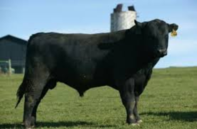 one significant event is