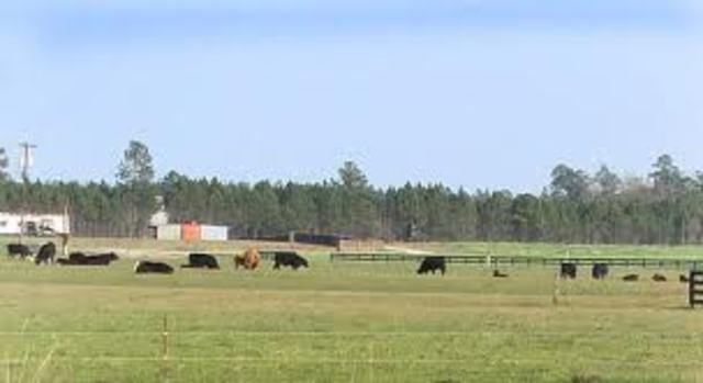 your hopeful day of retirement