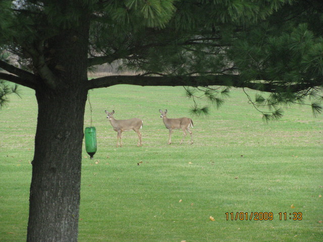 Es el uno de noviembre de dos mil nueve