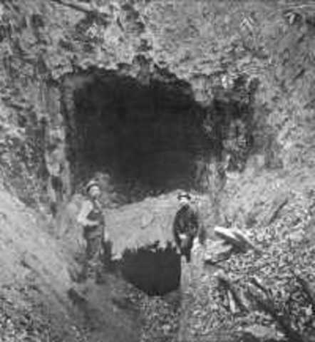 Dohlonega Gold Rush©