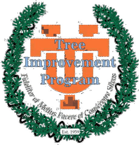 Tree Improvement Program began at the University of Tennessee