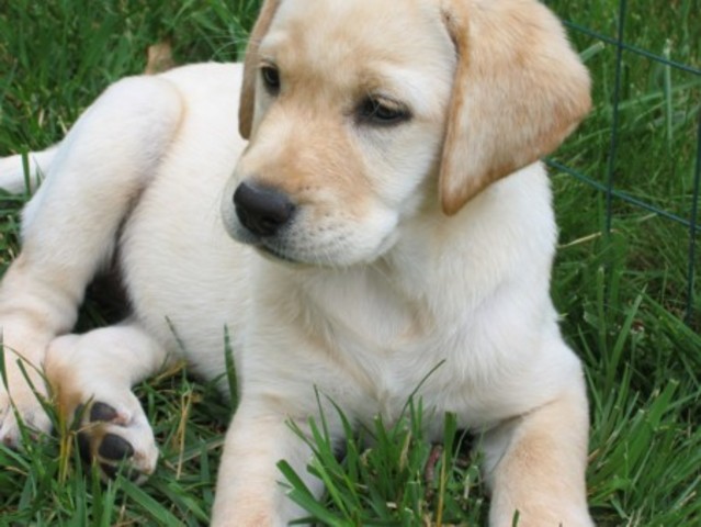 Es el diez y nueve de abril de dos mil catorce