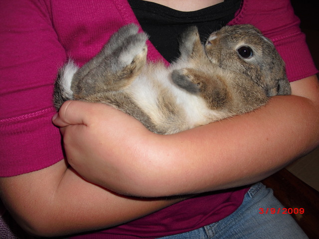 veinte y nueve de mayo mil doce