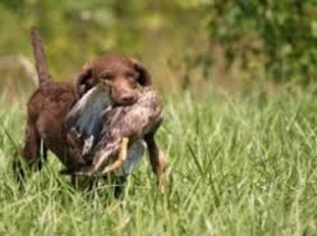 El treinta y uno de marzo de dos mil catorce