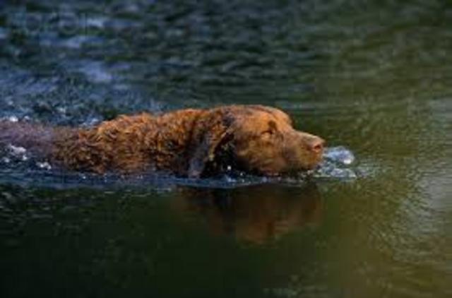 El veinte y ocho de marzo de dos mil catorce