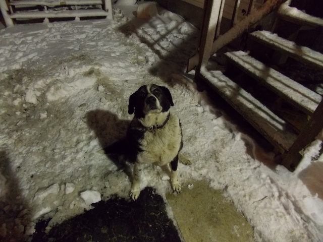 uno de febrero mil uno