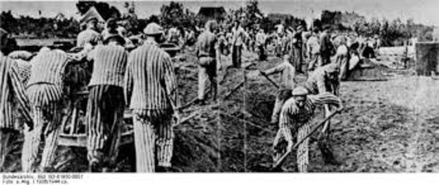 Labor Camps