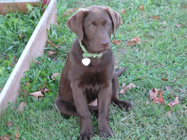 diez de Septiembre de