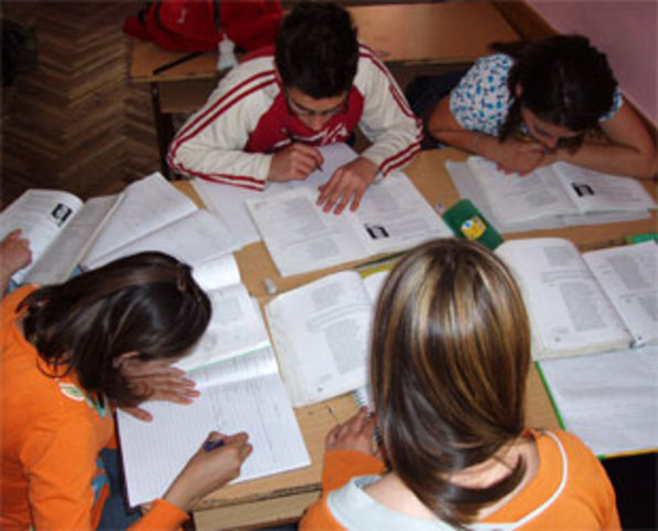 CONPES SOCIAL 116, 2008