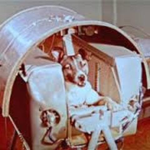 Sputnik I & Sputnik II