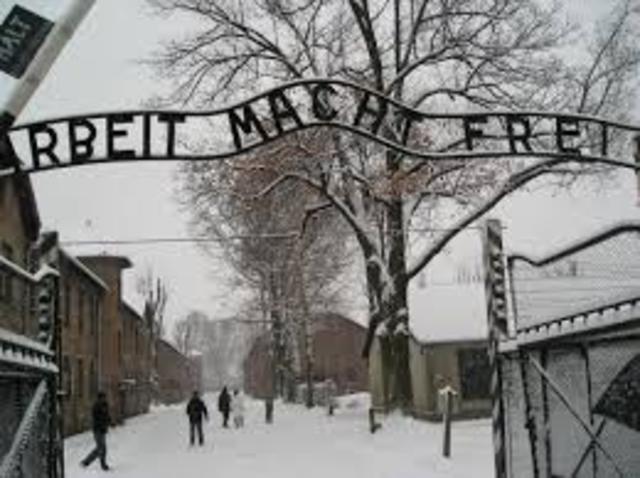 Auschwitz Founded