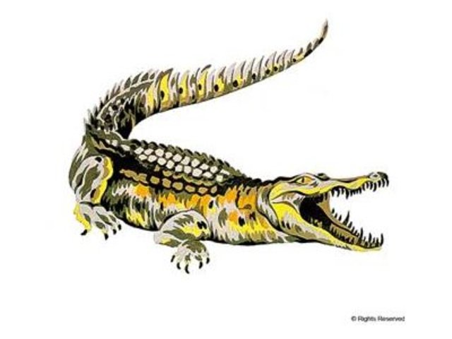 Creación del dibujo del cocodrilo