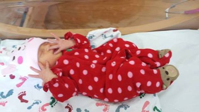 el diez de febrero de dos mil catorce