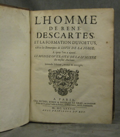 Completa su primer trabajo cientifico "El Mundo".