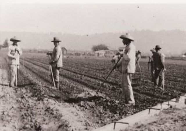 Rectification Program