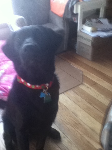 vigesimo quinto diciembre dos mil diez