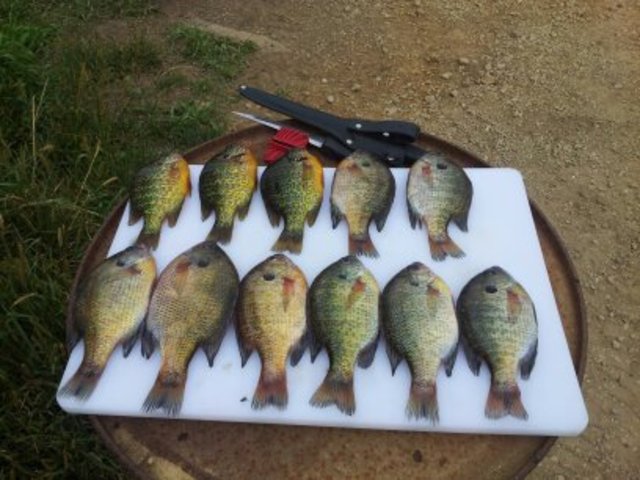 viente augusto dos mil trece