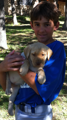 J'ai reçu mon chien nommé Sandy