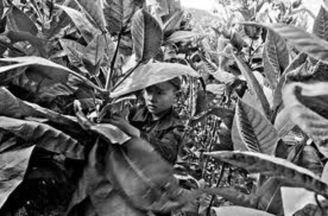 1916- Federal law Sanctions state Violators