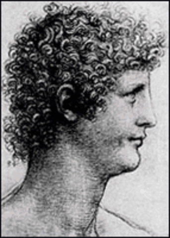 Leonardo accused of Sodomy