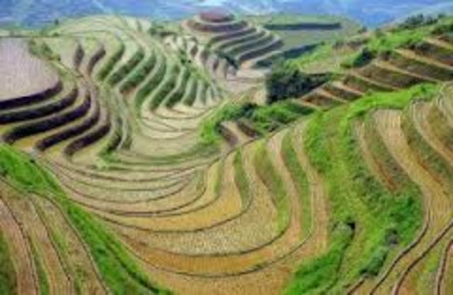 Development of Agriculture