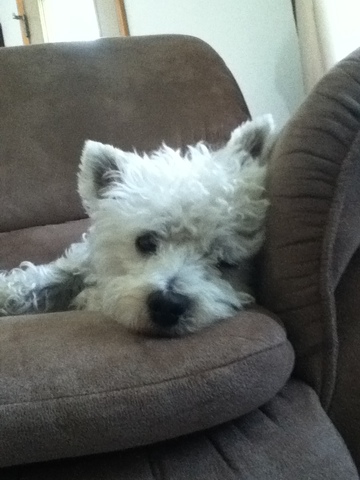 el viente y cinco de septiembre de dos  mil y trece