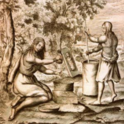 Native American Populaiotn