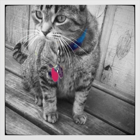 DeJunio viente y cuartro, veinteydoce