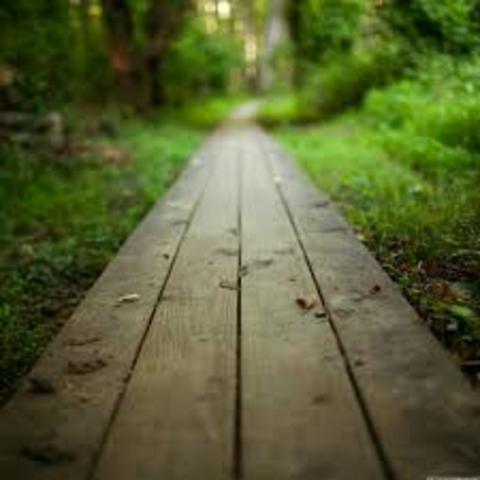 Hana's mom get's taken away.