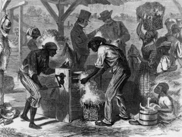 Eli Whitney invents the cotton gin