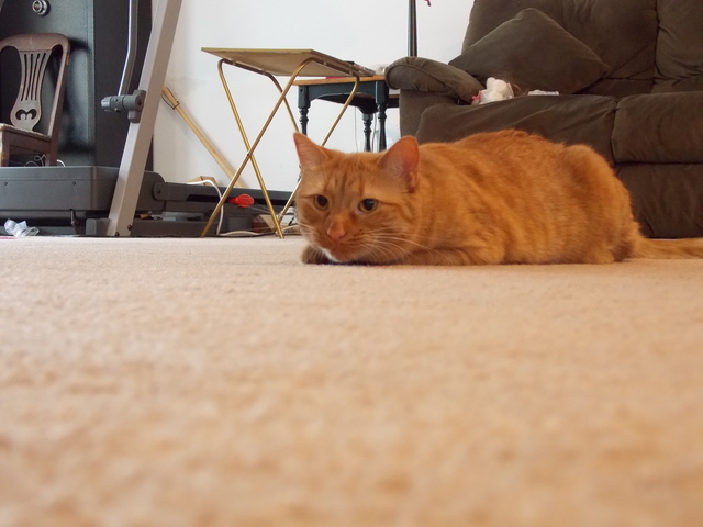 El veintisiete de octubre dos mil once