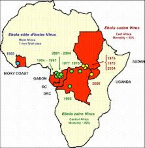 Ebola Outbreaks in Sudan and Zaire